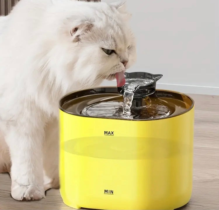 The WhisperFlow™ Hydration Fountain