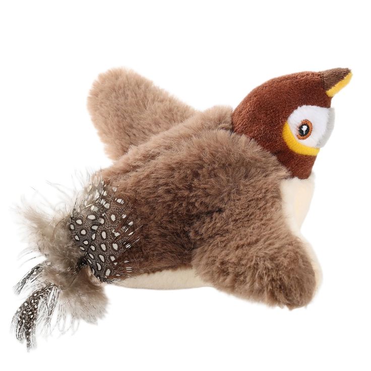 Wingpaw - When curiosity takes flight