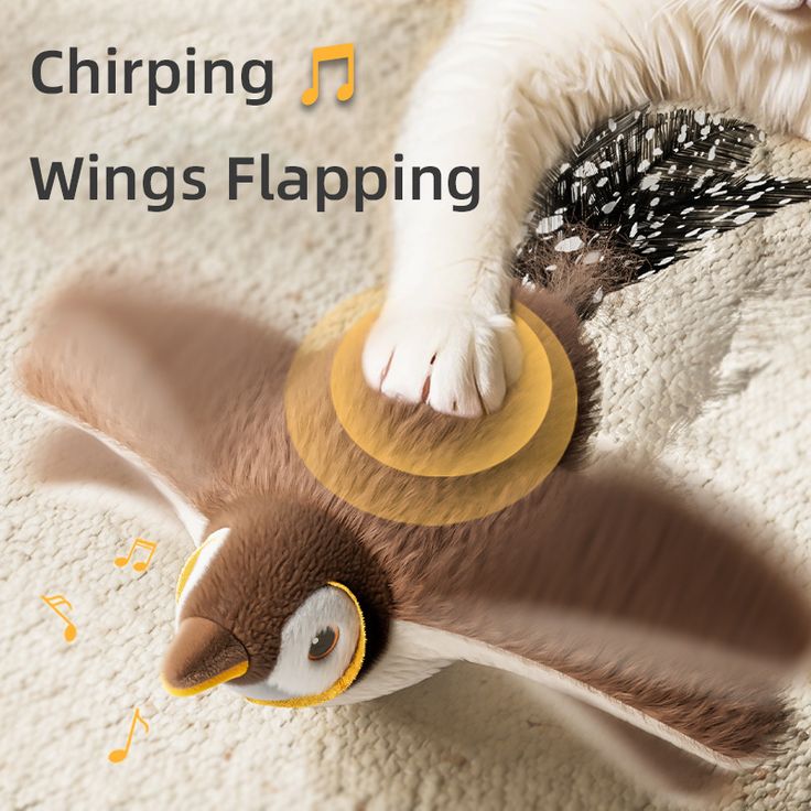 Wingpaw - When curiosity takes flight